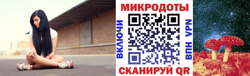 купить закладку Алатырь Псилоцибиновые грибы Psilocybine cubensis